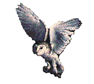 desc
